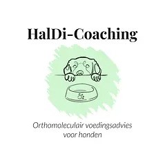 HalDi coaching